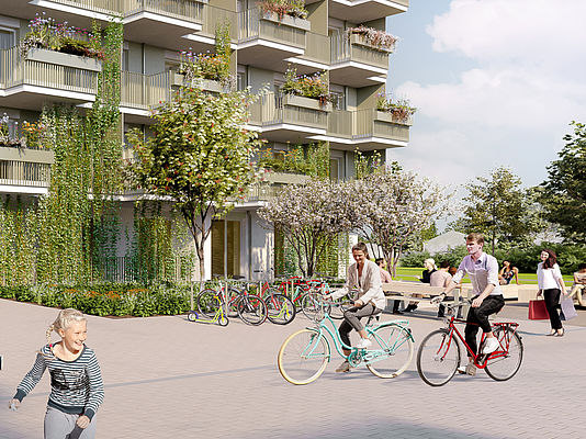 Renderings