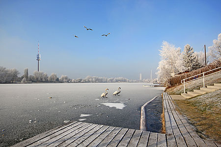 Donauinsel © AdobeStock