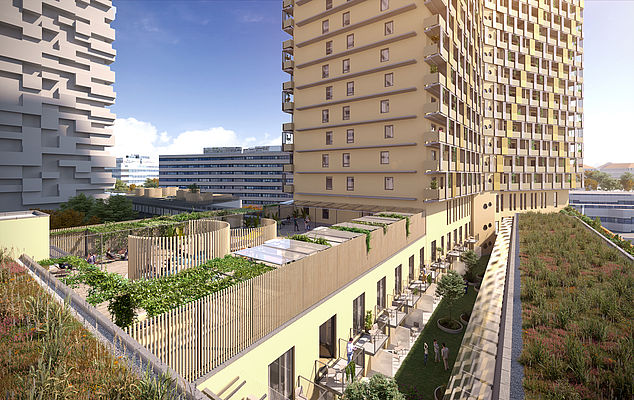 Q-Tower_Terrasse