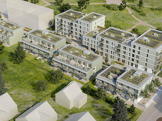 Renderings